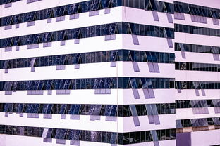 milan.com-中国篮球职业联赛青训体系建设与优化，中国青年篮球队