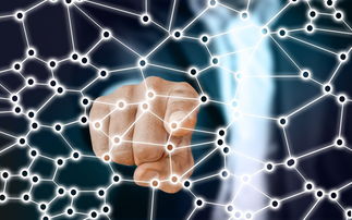 ac米兰-中国篮球职业联赛青训体系的结构优化，中国青年篮球联赛简称